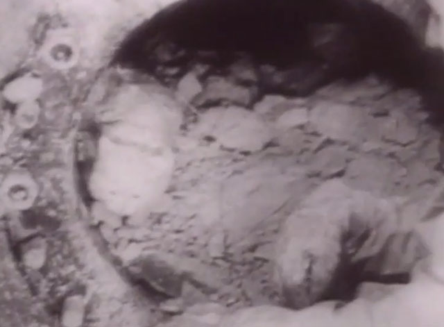 Modern Marvels - Grand Coulee Dam - newsreel footage of white cat Evelyn emerging dirty from pipe