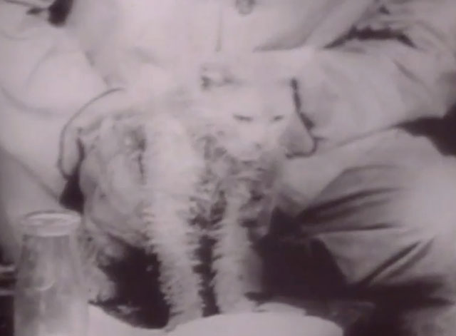 Modern Marvels - Grand Coulee Dam - newsreel footage of white cat Evelyn wet and dirty at bowl of milk