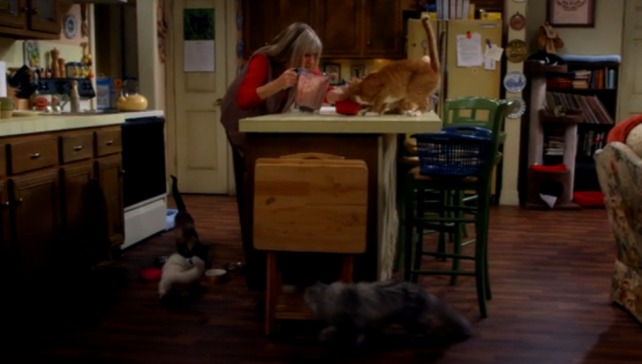 Mom - Figgy Pudding and the Rapture - cats in Marjorie's home run to get fish smoothie