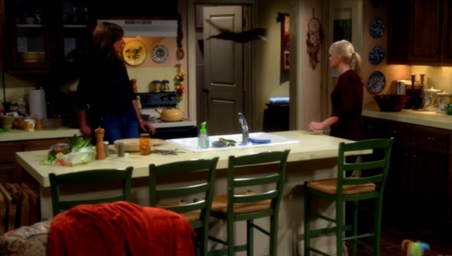 Mom - Figgy Pudding and the Rapture - cat flying out through door