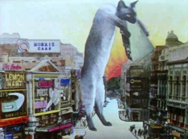 Monty Python's Flying Circus - How to Recognise Different Types of Trees from Quite a Long Way Away - animated giant Siamese cat eating building