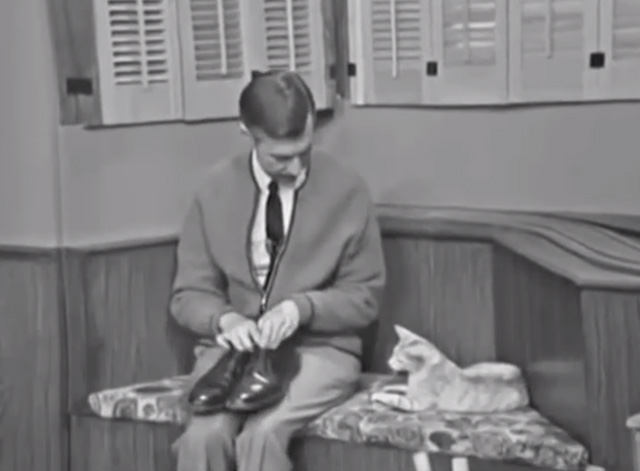 Mister Rogers' Neighborhood - Blackberry tabby cat on cushioned bench looking at shoes held by Fred Rogers