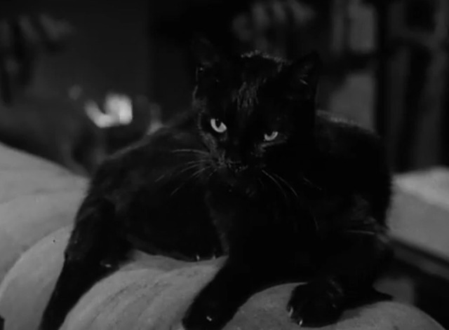The Munsters - Munster Masquerade - black cat Kitty on back of sofa