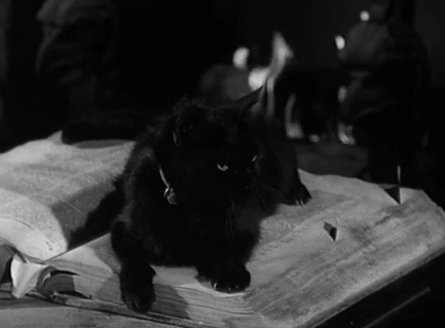 The Munsters - Munster Masquerade - black cat Kitty on table