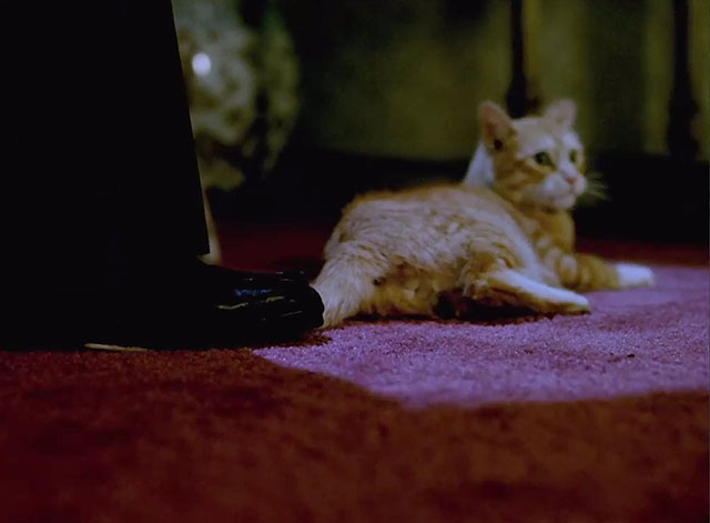 Murder, She Wrote - The Family Jewels - ginger tabby cat lying on floor with tail being stepped on