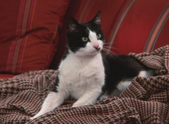 Murphy Brown - Sox and the Single Girl - Socks the cat actor impersonator