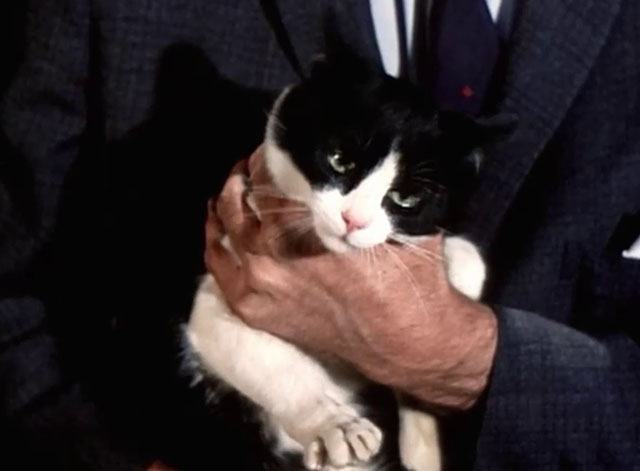 My Favorite Martian - Stop the Presses, I Want to Get Off - tuxedo cat squirming in man's arms