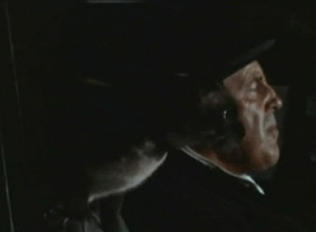 My Mother the Car - And Leave the Drive-In to Us - Siamese cat in car watching movie