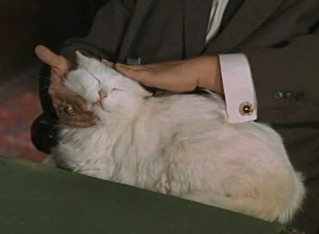 My Mother the Car - Goldporter - U.N.C.L.E. Louie Bruno VeSota petting white long-haired cat on lap