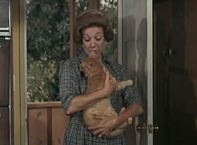 My Mother the Car - Shine On, Shine On Honeymoon - Mrs. Netwick with orange tabby cat