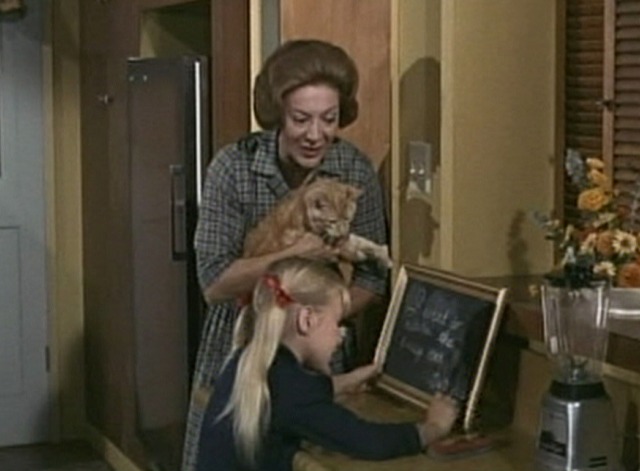 My Mother the Car - Shine On, Shine On Honeymoon - Mrs. Netwick and Cindy with orange tabby cat