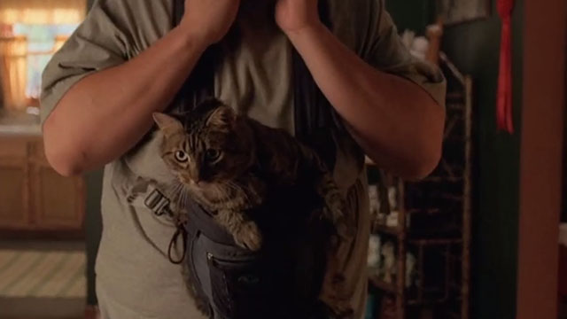 My Name is Earl - Larceny of a Kitty Cat - heavy Bengal tabby cat Sebastian in baby carrier on Randy
