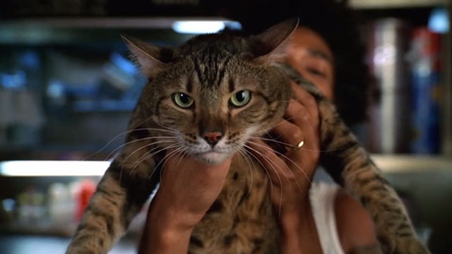 My Name is Earl - Larceny of a Kitty Cat - Darnell Eddie Steeples holding up heavy Bengal tabby cat Sebastian