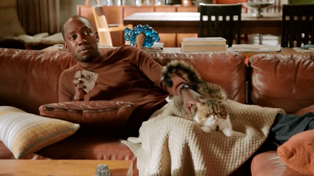 New Girl - The Captain - Ferguson Scottish fold cat with Winston Lamorne Morris on couch