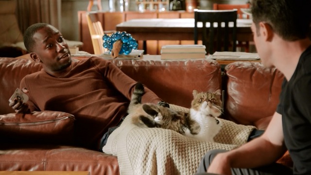New Girl - The Captain - Ferguson Scottish fold cat sitting up with Winston Lamorne Morris on couch