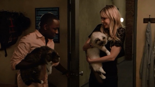 New Girl - The Captain - Ferguson Scottish fold cat with Winston Lamorne Morris and Kylie Riki Lindhome with Himalayan cat Fatty