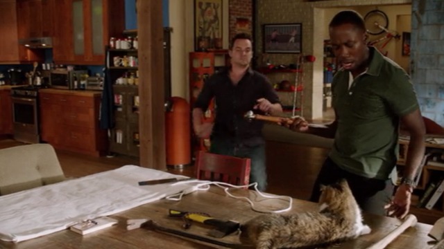 New Girl - Nerd - Winston threatens Ferguson Scottish fold cat with hammer