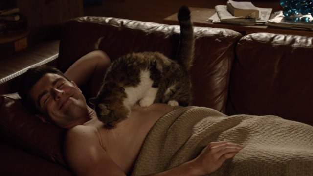 New Girl - Nerd - Ferguson Scottish fold cat licking Schmidt's nipples