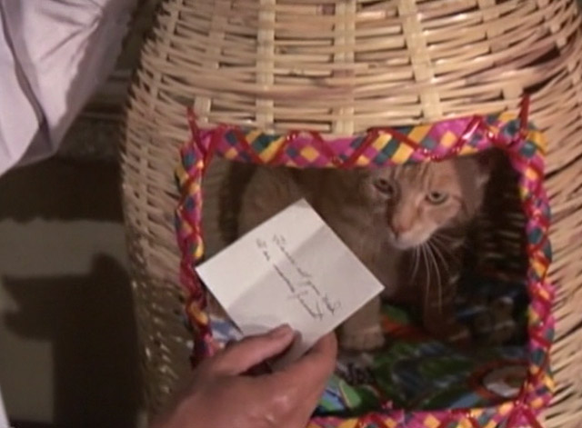 Night Gallery - She'll Be Company For You - orange tabby cat Jennet in basket with note