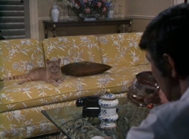 Night Gallery - She'll Be Company For You - orange tabby cat Jennet on sofa across from Henry Leonard Nimoy