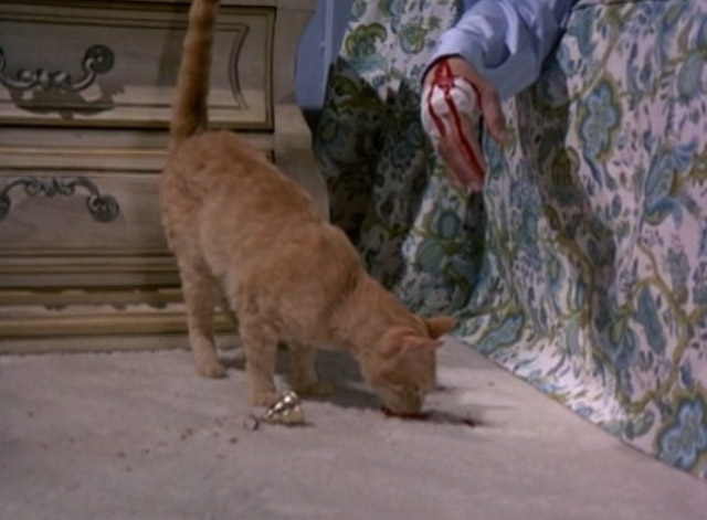 Night Gallery - She'll Be Company For You - orange tabby cat Jennet licking blood from floor