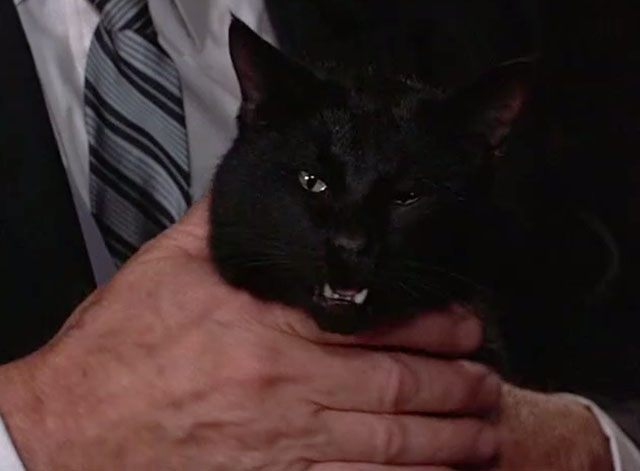 Night Gallery - Die Now, Pay Later - black cat being held on lap