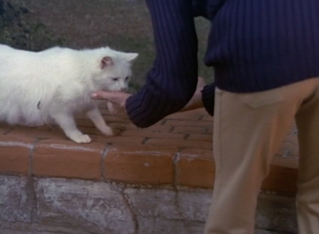 Night Gallery - Last Rites for a Dead Druid - man motioning to white long-haired cat
