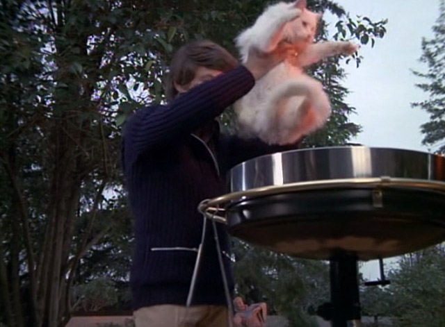 Night Gallery - Last Rites for a Dead Druid - Bruce Bill Bixby lifting white long-haired cat higher over barbecue grill