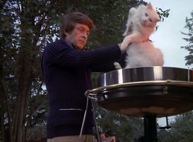 Night Gallery - Last Rites for a Dead Druid - crazy Bruce Bill Bixby holding up white long-haired cat over barbecue grill