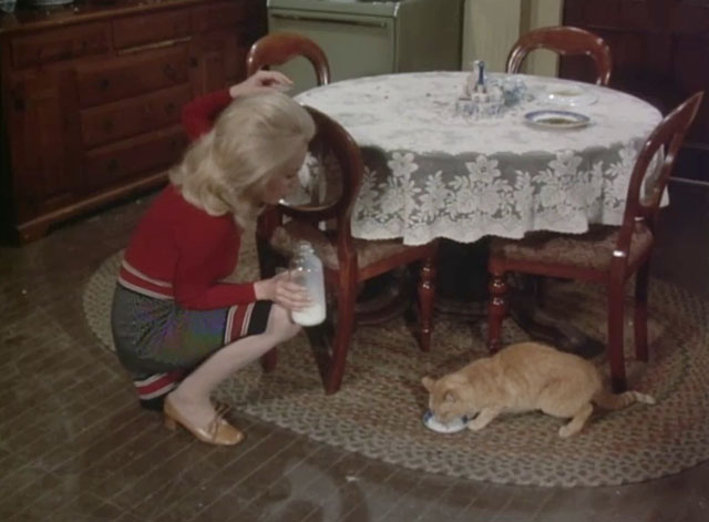 Night Gallery - Spectre in Tap-Shoes - male ginger tabby cat being fed milk in kitchen by Millicent Sandra Dee