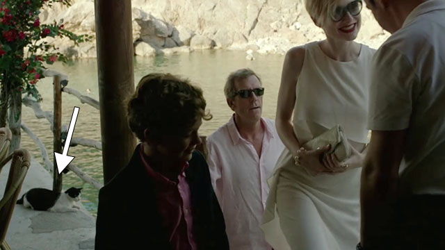 The Night Manager - Season 1, Episode 2 - Richard Roper Hugh Laurie and family arriving at seaside restaurant with tuxedo cat lounging nearby
