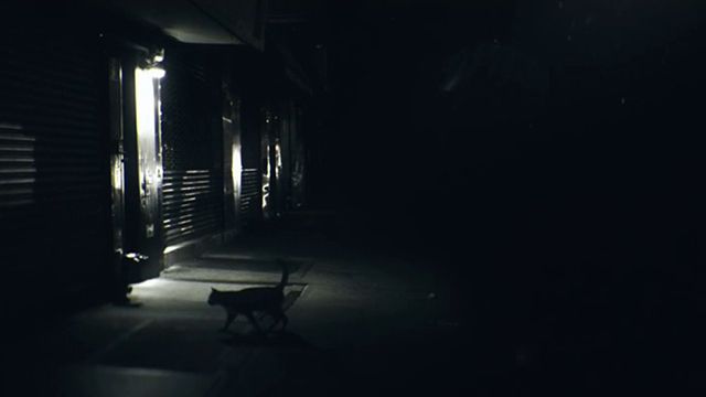 The Night Of - cat on dark street from opening credits