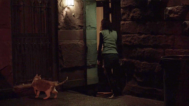 The Night Of - Andrea putting orange and white tabby cat outside