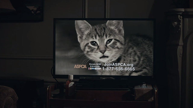 The Night Of - sick tabby kitten in ASPCA ad on television