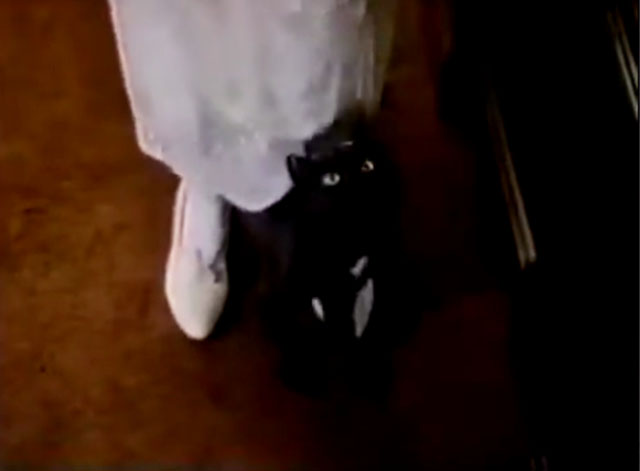 The Nutt House - Pilot - black cat standing between legs