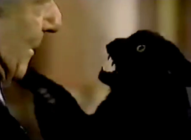 The Nutt House - Pilot - Reginald Harvey Korman holding angry black cat puppet