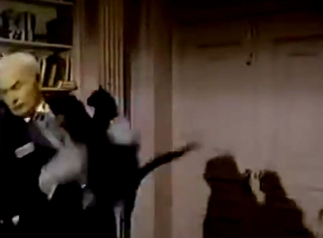 The Nutt House - Pilot - Reginald Harvey Korman falling while holding black cat
