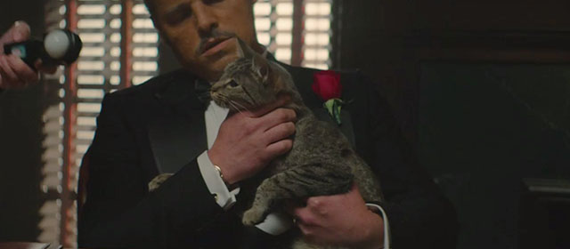 The Offer - Mr. Producer - tabby cat in lap of Brando Justin Chambers on set of The Godfather