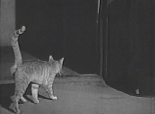 One Step Beyond - Call From Tomorrow cat leaves theater