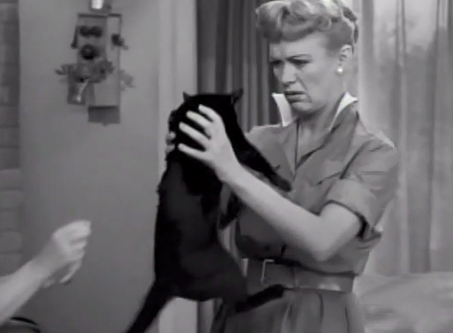 Our Miss Brooks - Big Ears - Miss Brooks Eve Arden holding up black cat