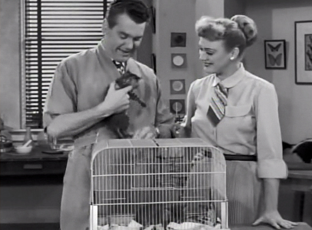 Our Miss Brooks - Cure That Habit - Mr. Boynton Robert Rockwell holding long-haired tabby kitten with Miss Brooks Eve Arden 