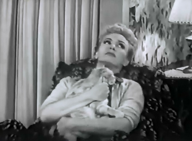 Our Miss Brooks, The Magic Tree - cat Minerva rocking with Miss Brooks