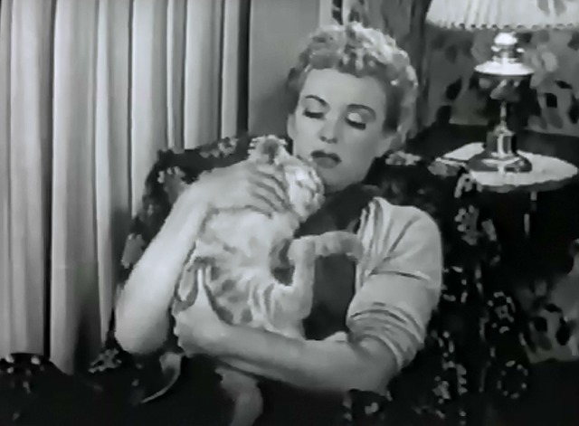 Our Miss Brooks, The Magic Tree - Miss Brooks wakes up to find cat Minerva in her arms