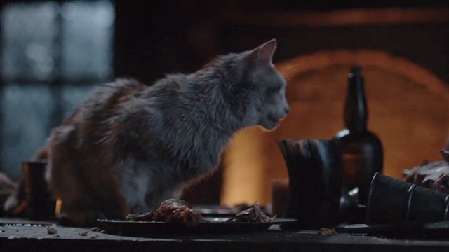 Outlander - The Wedding - dirty orange and white cat eating off leftover wedding scraps on table