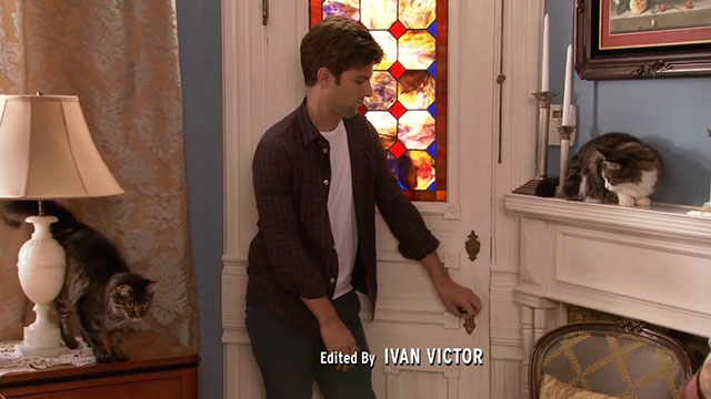 Parks and Recreation - Camping - Ben Adam Scott trying to escape room with multiple tabby cats