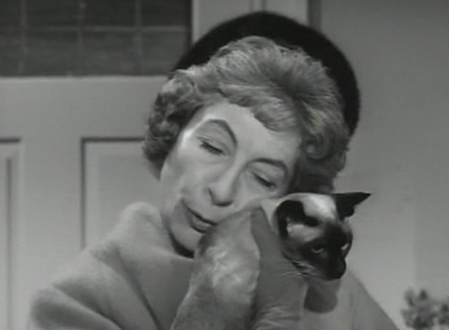 The Patty Duke Show - The House Guest cat Dindy