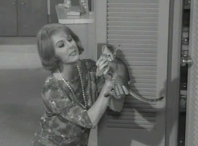 The Patty Duke Show - Three Little Kittens cat
