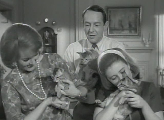 The Patty Duke Show - Three Little Kittens cats with cast
