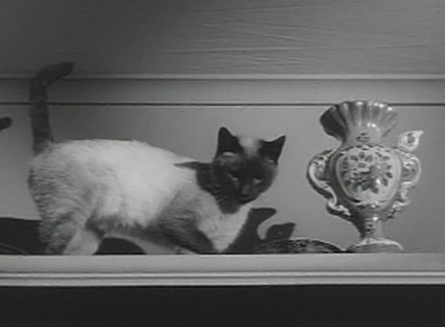 Perry Mason - The Case of the Careless Kitten Siamese cat Monkey on shelf