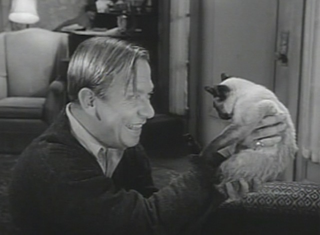 Perry Mason - The Case of the Careless Kitten Thomas and Siamese cat